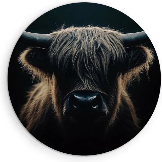 Saammp Forex Muurcirkel - Schotse hooglander koe - Portret - Dieren - Ø 30 - Wandcirkel - Wanddecoratie Cirkel - Muurdecoratie Woonkamer - Slaapkamer decoratie - Rond Schilderij