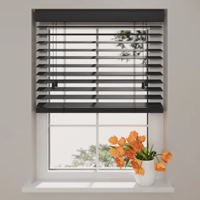 DTCH Kunststof Jaloezie Easy - 50 mm - Anthracite - 120x130 cm