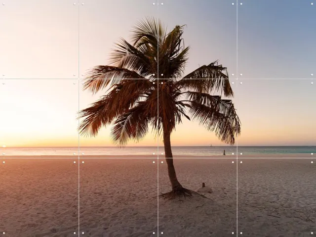 IXXI Summer Vibes Palm, Claire Droppert - 80 x 60 cm - Grote wanddecoratie en posters - Fotografie, Naturalisme, Woonkamer, Slaapkamer, Strandhuis Blauw / Geel / Oranje