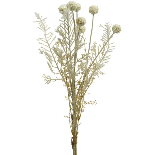 Viana Droog gras pampagras kunstgras allium crème, beige H60cm