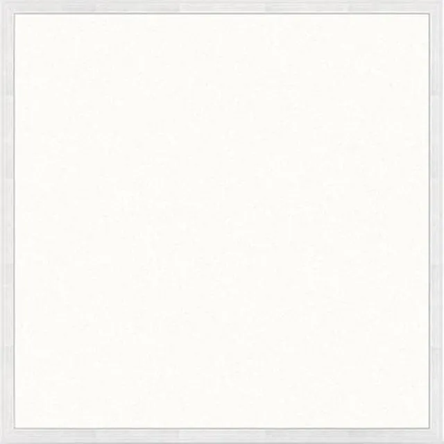 Varnalux 2st. VARNALUX LED BACKLIT PANEEL 60x60 36W 6000K 110lm/w FF NO STEKKER Wit