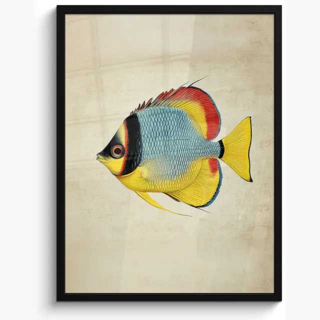FrameYourWall Poster in lijst - Fotolijst 50x70 cm - Posters - Kleurrijk - Vis - Schubben - Illustratie - Posterlijst zwart - Decoratie - Wanddecoratie woonkamer - Muurdecoratie slaapkamer Vis - Kleurrijk