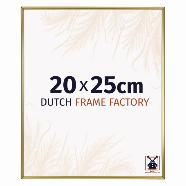 Dutch Frame Factory Fotolijst 20x25 cm - Kunststof - Goud - Angers