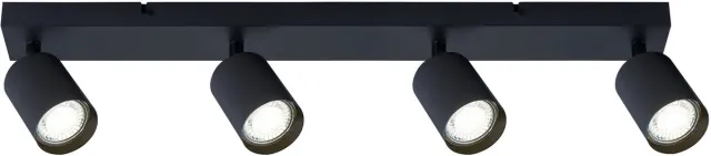 Integral Plafondspot Siena Mat Zwart voor 4x GU10 lamp (niet meegeleverd) | 4x GU10