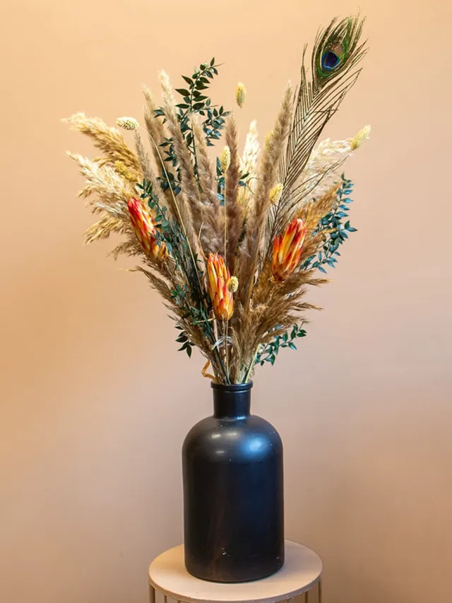 Roselin Deco Droogboeket Laura – Protea Repens – Landelijk Droogbloemen Boeket 80 cm wit