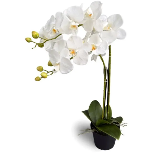 Oosterik Home Orchidee wit in pot H 63 cm kunstplant Oosterik Home onbekend