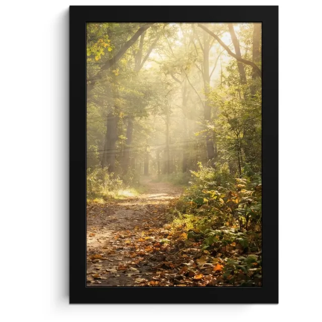 FrameYourWall Poster in lijst - Fotolijst 20x30 cm - Posters - Zonlicht - Bospad - Bomen - Posterlijst zwart - Decoratie - Wanddecoratie woonkamer - Muurdecoratie slaapkamer