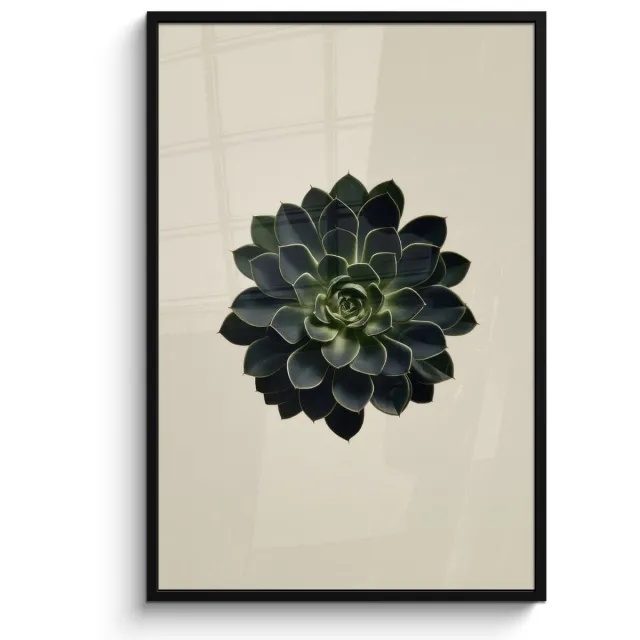 FrameYourWall Poster in lijst - Fotolijst 80x120 cm - Posters - Rozet - Cirkelvormig - Donkergroen - Posterlijst zwart - Decoratie - Wanddecoratie woonkamer - Muurdecoratie slaapkamer