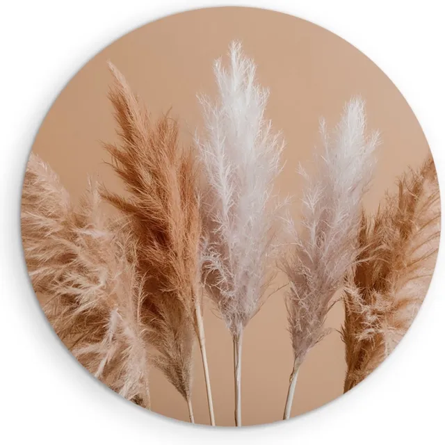 Saammp Muurcirkel Hout - Pampas pluimen - Bloemen - Natuur - Ø 60 - Wandcirkel - Wanddecoratie Cirkel - Muurdecoratie Woonkamer - Kantoor Decoratie