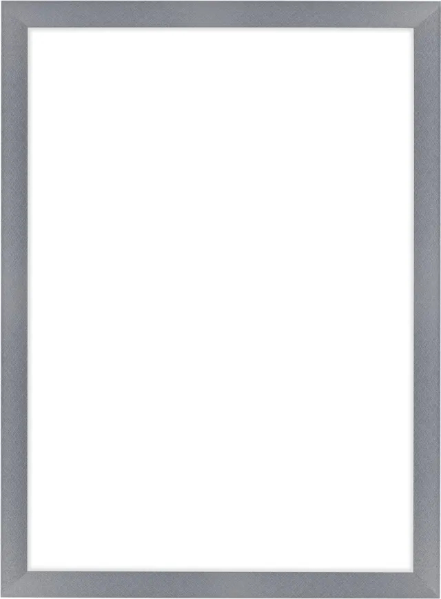 Dutch Frame Factory Fotolijst 48x67 cm - MDF - Aluminium Geborsteld - Colonia