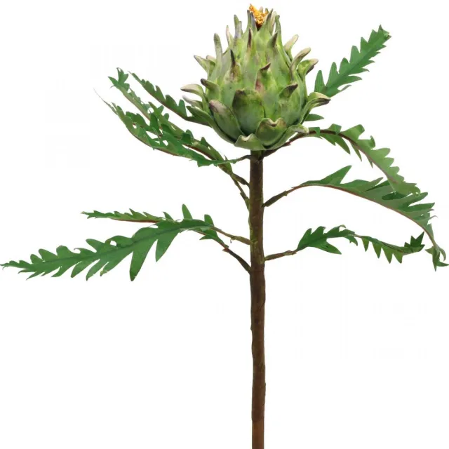 Viana Artisjok Artisjok Groen Deco Herfst Ø7.5cm H43cm groente