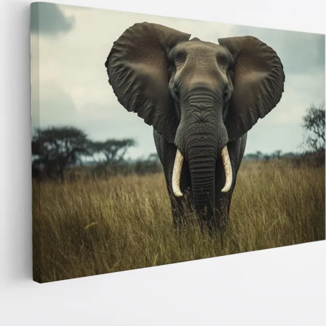 Saammp Canvas Schilderij - Olifant in hoog gras - Afrika - Dieren - 40x30 - Foto op canvas - Wanddecoratie - muurdecoratie Woonkamer - Slaapkamer decoratie - Canvas Print Multicolor