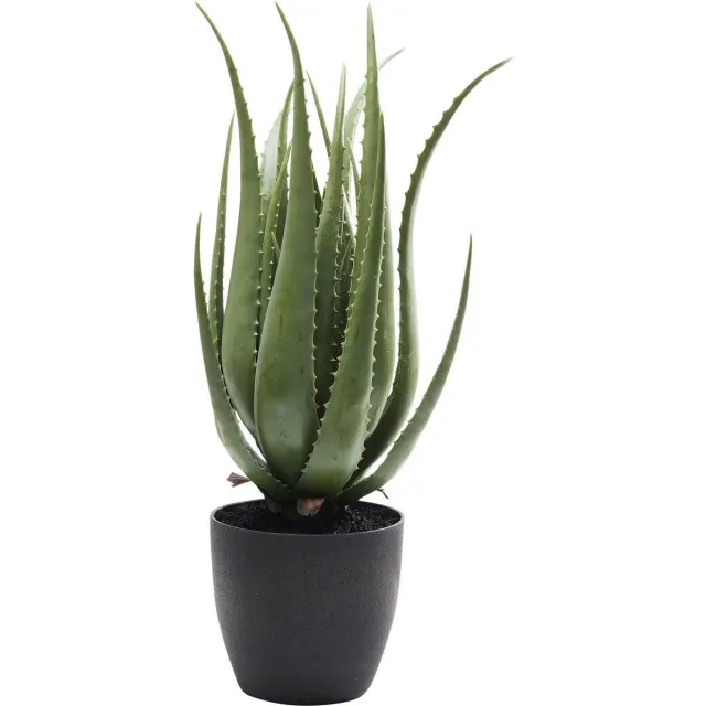 Kare Design Kunstplanten Aloe 69cm Kare Design Groen