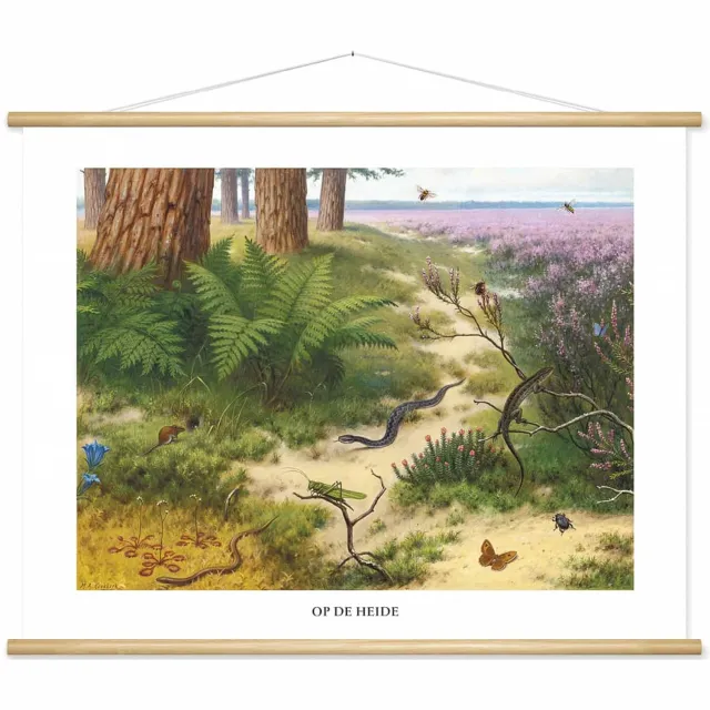 wallchart unlimited Schoolplaat 'Op de heide' van M.A. Koekkoek wit