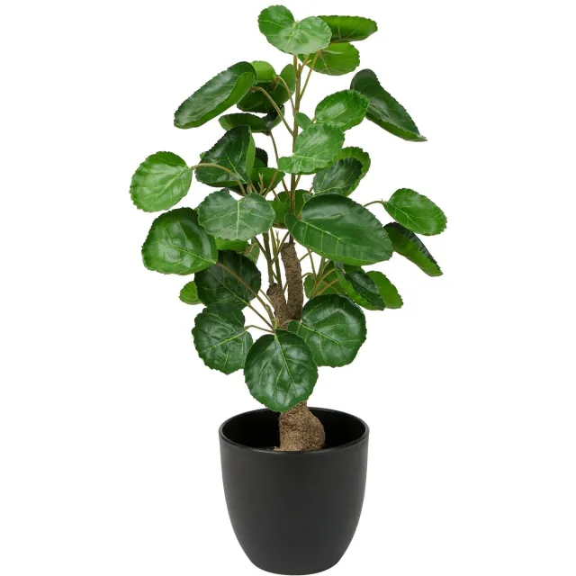 Unyqoos Decoratieve en Onderhoudsvrije Kunstplant van 45 cm voor Binnen en Buiten Groen, Zwart