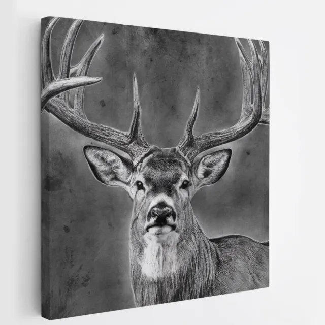 Saammp Canvas Schilderij - Hert - Abstract - Dieren - 40x40 - Foto op canvas - Wanddecoratie - Muurdecoratie Woonkamer - Slaapkamer decoratie - Canvas Print Multicolor