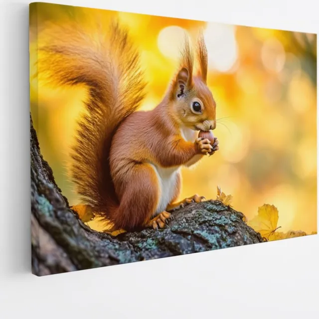 Saammp Canvas Schilderij - Eekhoorn op boom - Natuur - Dieren - 30x20 - Foto op canvas - Wanddecoratie - Muurdecoratie Woonkamer - Slaapkamer decoratie - Canvas Print Multicolor