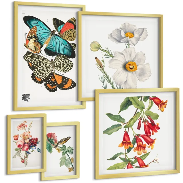 Coloray 5-Delige Schilderij Set - Vintage Wanddecoratie Met Bloemen, Vlinders En Vogels. - 50 x 50 cm, 20 x 30 cm En 40 x 60 cm - Stijlvolle Muurdecoratie - Kantoor - Decoratieve Schilderijen Gouden lijst