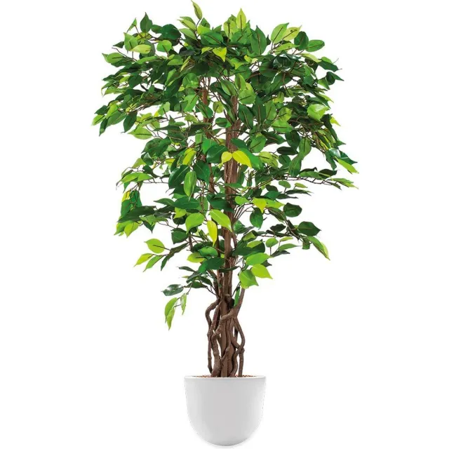 HTT Decorations Kunstplant Ficus in Eggy H130 cm Wit