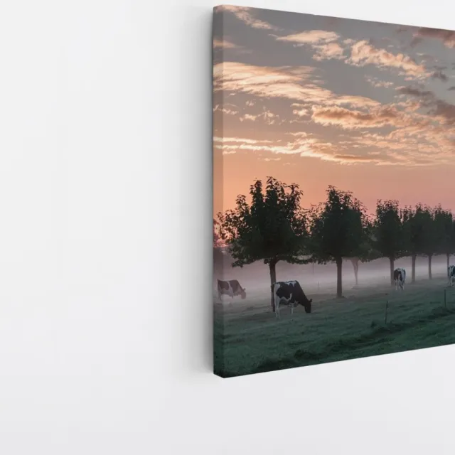 Saammp Canvas Schilderij - Koeien met mooie lucht - Natuur - nederland - 40x40 - Foto op canvas - Wanddecoratie - Muurdecoratie Woonkamer - Slaapkamer decoratie - Canvas Print Multicolor