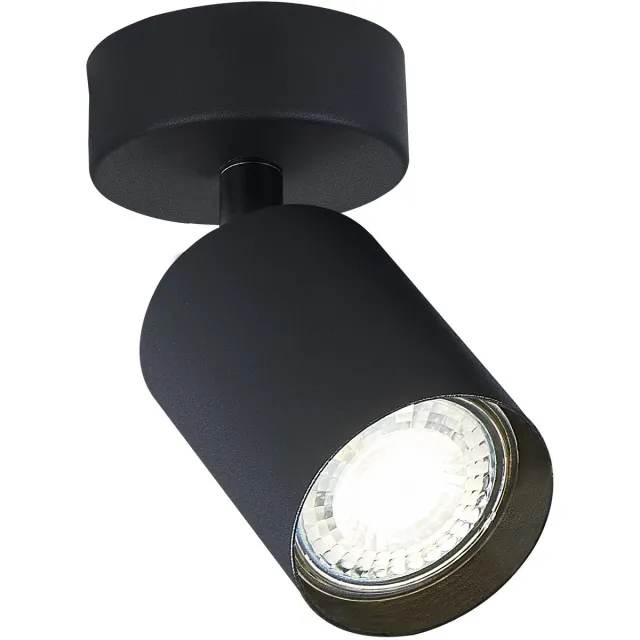 Integral Plafondspot Siena Mat Zwart voor 1x GU10 lamp (niet meegeleverd) | GU10