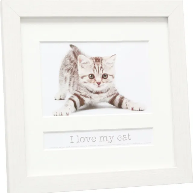 Deknudt Frames multifotolijst - wit - CAT - foto 10x15 cm met tekstvak