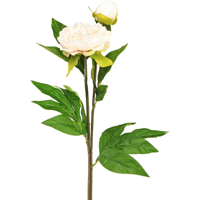 Viana Lange kunstpioenen kunstbloemen crème 70cm 3 st, 3 Stück Beige