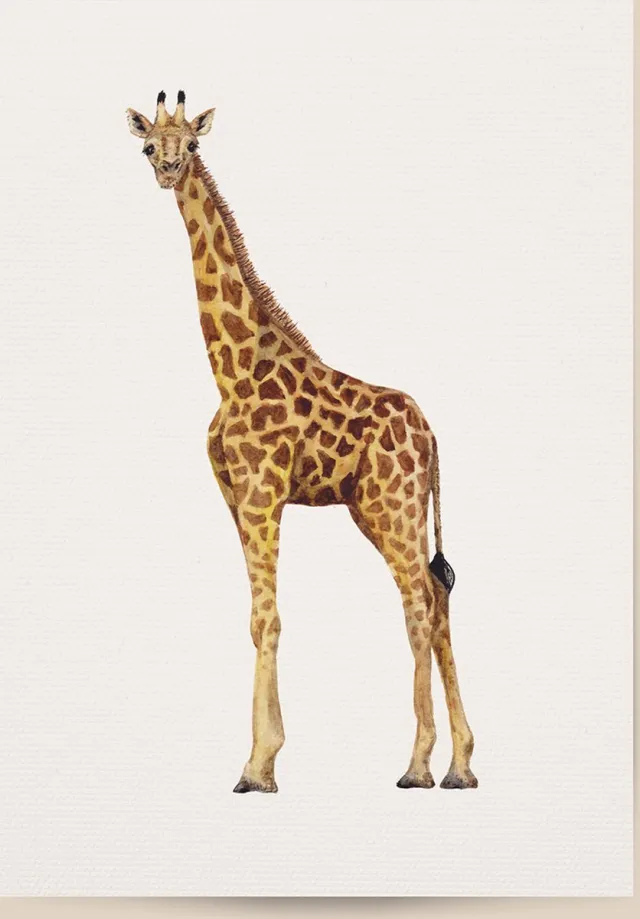 World of Mies poster giraffe - A4 - mooi dik papier - Snel verzonden! - tropisch - jungle - dieren in aquarel - geschilderd door Mies