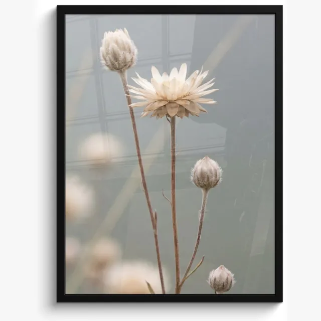 FrameYourWall Poster in lijst - Fotolijst 50x70 cm - Posters - Strobloemen - Wit - Daglicht - Posterlijst zwart - Decoratie - Wanddecoratie woonkamer - Muurdecoratie slaapkamer