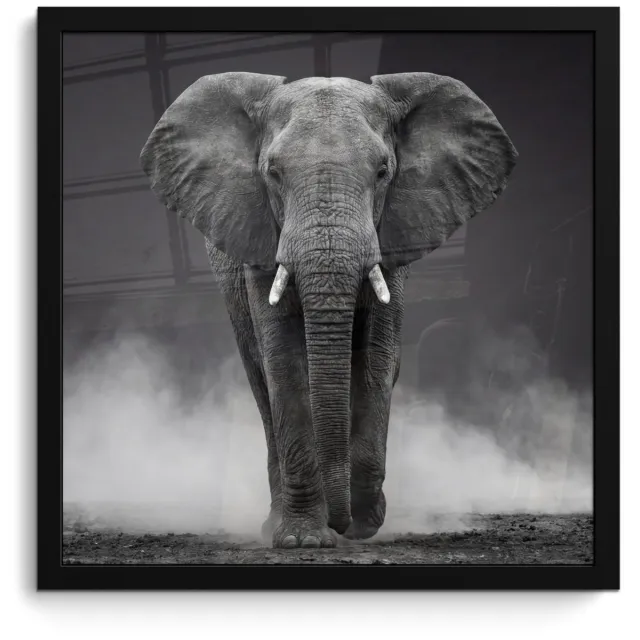 FrameYourWall Poster in lijst - Fotolijst 40x40 cm - Posters - Olifant - Zwart - Wit - Rook - Posterlijst zwart - Decoratie - Wanddecoratie woonkamer - Muurdecoratie slaapkamer