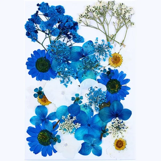 Cosensi Decoratieve droogbloemen voor sieraden maken, epoxyhars en scrapbooking, 37 stuks