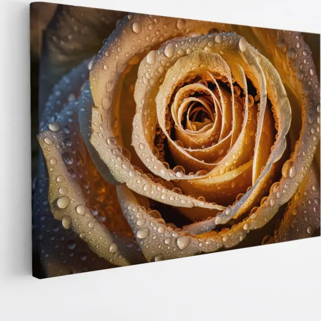 Saammp Canvas Schilderij - Gouden Roos Met Waterdruppels - Natuur - Abstract - 50x40 - Foto op canvas - Wanddecoratie - Muurdecoratie Woonkamer - Kantoor Decoratie Multicolor