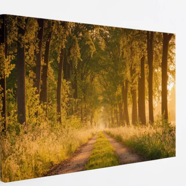 Saammp Canvas Schilderij - Weg door het bos - Nederland - Landschap - Natuur - 90x60 - Foto op canvas - Wanddecoratie - Muurdecoratie Woonkamer - Slaapkamer decoratie - Canvas Print Multicolor