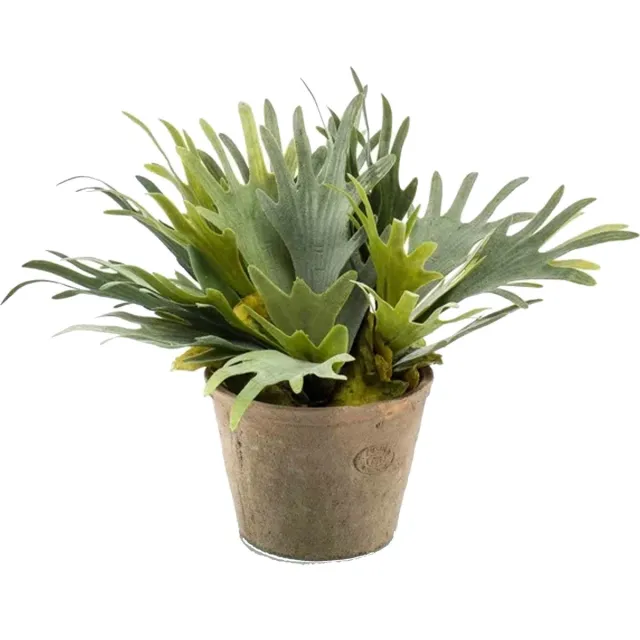 Emerald Kunstplant Staghorn varen - groen - in grijs betonlook pot - 38 cm Betongrijs