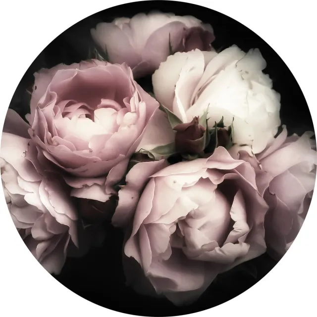 Tizato Muurcirkel Bloemen Rozen – Zelfklevende wandcirkel Muursticker – Ø 146 cm zwart