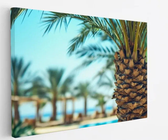 Saammp Canvas Schilderij - Natuur - Palmboom - landschap - 60x40 - Foto op canvas - Wanddecoratie - Muurdecoratie Woonkamer - Slaapkamer decoratie - Canvas Print Multicolor