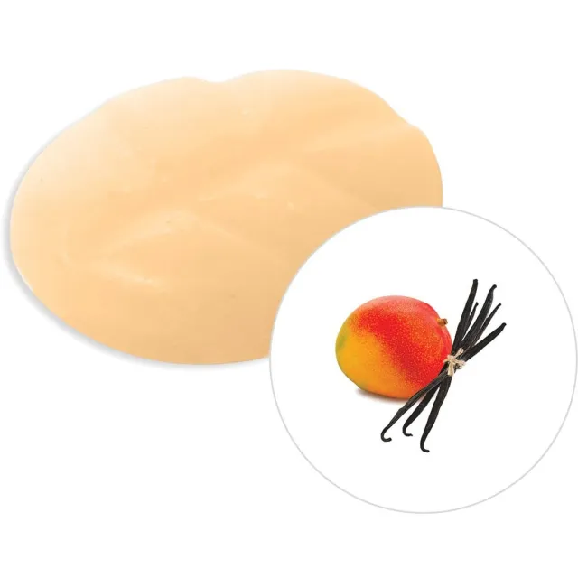Scentchips Vanille & Mango - Geurblokjes - Huisparfum - Geurchips - Waxmelts - Geschikt voor Geurbrander en Waxbrander - S - 8 Stuks Oranje