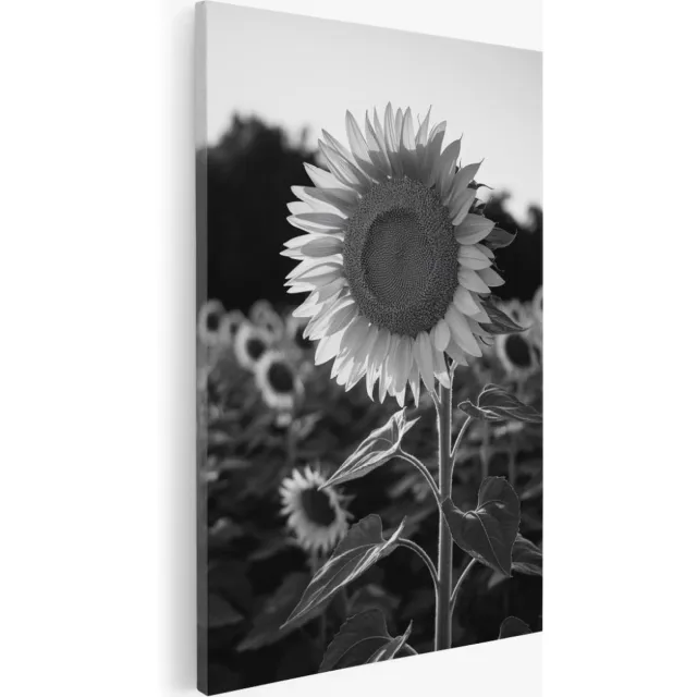 Saammp Canvas Schilderij - bloemen - Zonnebloem - 100x150 - Foto op canvas - Wanddecoratie - Muurdecoratie Woonkamer - Kantoor Decoratie Multicolor