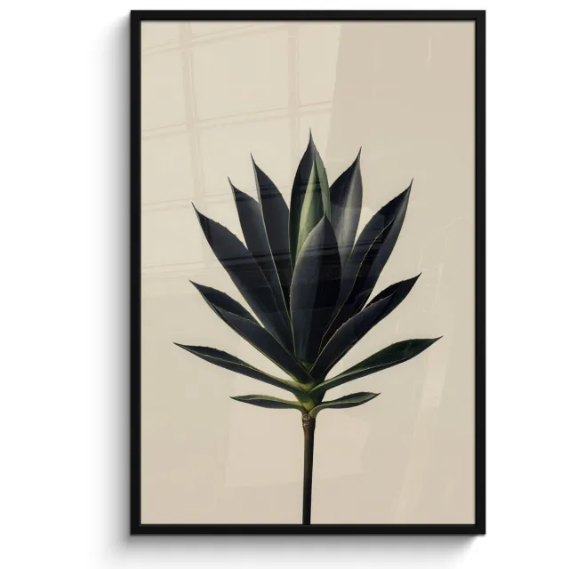 FrameYourWall Poster in lijst - Fotolijst 80x120 cm - Posters - Agaveplant - Symmetrisch - Groen - Posterlijst zwart - Decoratie - Wanddecoratie woonkamer - Muurdecoratie slaapkamer