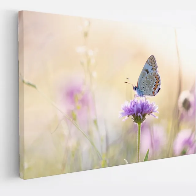 Saammp Canvas Schilderij - Vlinder op paarse bloem - Dieren - Natuur - 50x40 - Foto op canvas - Wanddecoratie - muurdecoratie Woonkamer - Slaapkamer decoratie - Canvas Print Multicolor