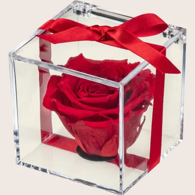 RoseAmor Longlife Roos in Transparante Kubus – Echte Houdbare Roos – Rood – Cadeau voor Haar