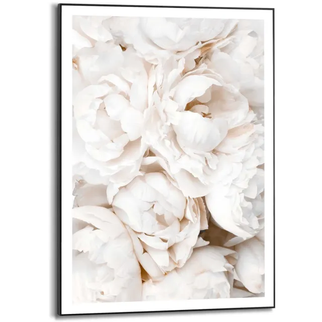 Reinders Schilderij Witte rozen - 70 x 50 - Hout - REINDERS Witte rozen Zwart
