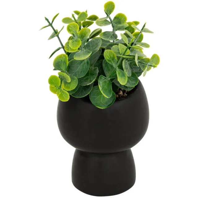 Atmosphera Créateur d'intérieur® Kunstplant LIVY Noir