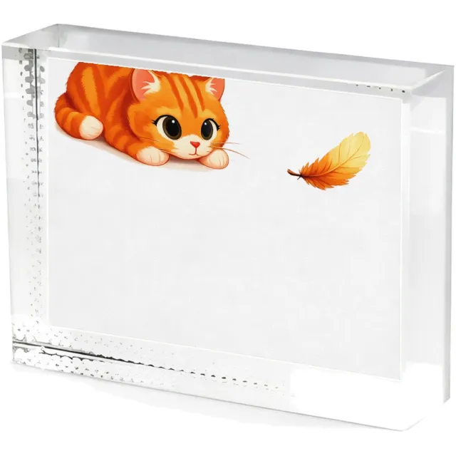 Mr Cadeautjes Fotokristal Een nieuwsgierige vos die naar een klein zwevend blaadje kij - glas, 8 x 6 cm - kristallen | cadeau Wit