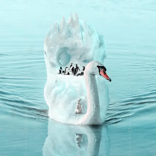 IXXI Responsibility, Julien Tabet - 120 x 120 cm - Grote wanddecoratie en posters - Surrealisme, Digitale Kunst, Woonkamer, Wilde dieren, Vogels Koele tinten / Wit