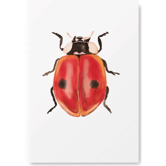 Natuurlijk Angelart Kunst Poster Dieren - Lieveheersbeestje- A4 Formaat - Kunstprint van Natuurlijk Angelart rood