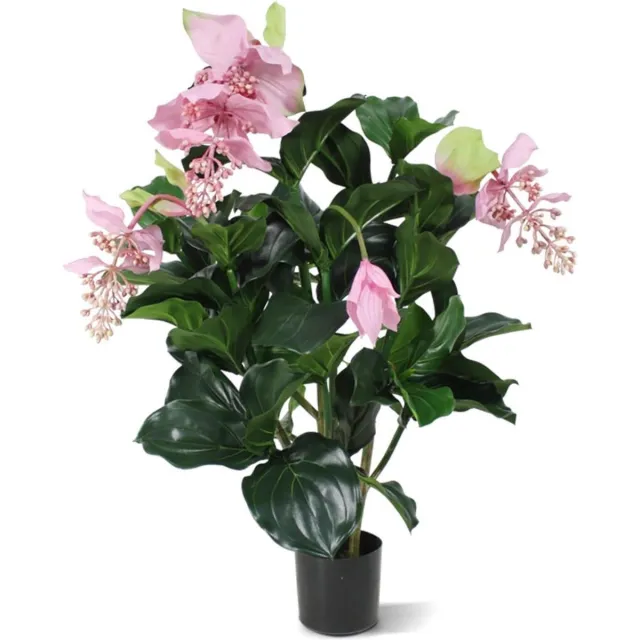 maxifleur Kunstplanten Medinella deluxe kunstplant 100cm Roze