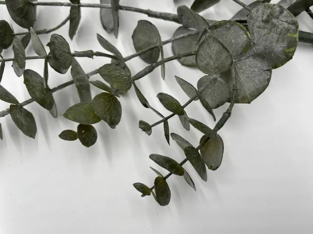 Home Sweet Home Kunstplant Tak Eucalyptus | Groen | 80 cm