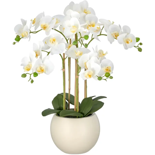 Kopu Kunstorchidee 65 cm - Wit - Crèmekleurige pot - Phalaenopsis
