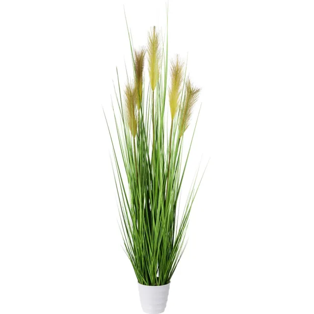 Kopu Kunstplant Pampusgras 110 cm - 5 pluimen - in witte pot Groen